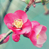 <a href='/e/space/?userid=81018' target='_blank'>zhangxin722</a>