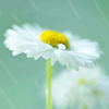 <a href='/e/space/?userid=7403' target='_blank'>czw66127</a>