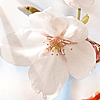 <a href='/e/space/?userid=7403' target='_blank'>czw66127</a>
