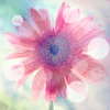 <a href='/e/space/?userid=7403' target='_blank'>czw66127</a>