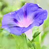 <a href='/e/space/?userid=52769' target='_blank'>zz765290116</a>