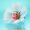 <a href='/e/space/?userid=3708' target='_blank'>Ares</a>