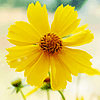 <a href='/e/space/?userid=2202' target='_blank'>5854195</a>