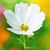 <a href='/e/space/?userid=579' target='_blank'>wdmwjxljx</a>