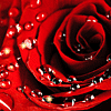 <a href='/e/space/?userid=3708' target='_blank'>Ares</a>