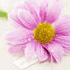 <a href='/e/space/?userid=1213' target='_blank'>dongesan</a>