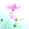 <a href='/e/space/?userid=14902' target='_blank'>1647831326@qq.com</a>
