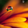 <a href='/e/space/?userid=6059' target='_blank'>陈半仙123</a>